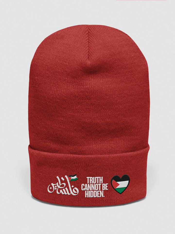 Palestinian Flag Dove Cuffed Beanie | Truth cannot be hidden. product image (2)