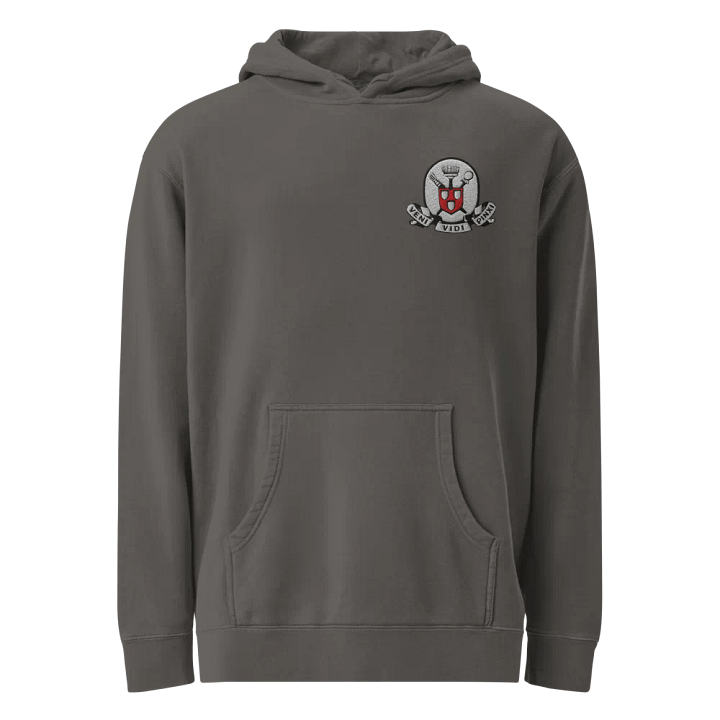 I Came, I Saw, I Painted -Premium Hoodie product image (1)