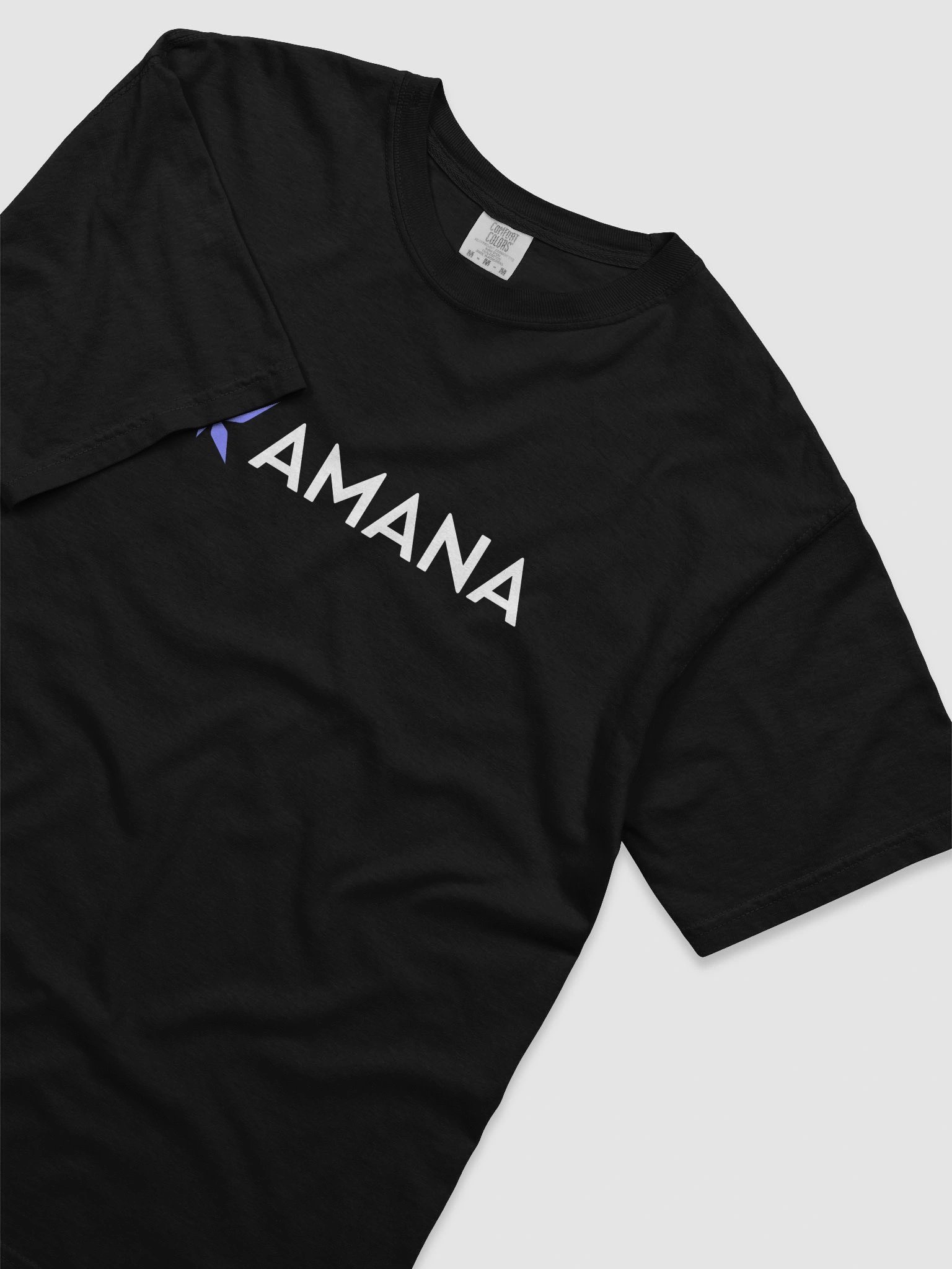Logo T-Shirt - Black product image (3)