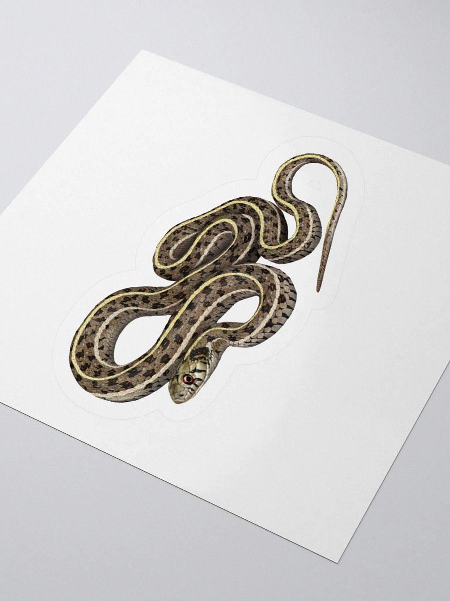 Die-Cut Sticker – Checkered Gartersnake product image (9)