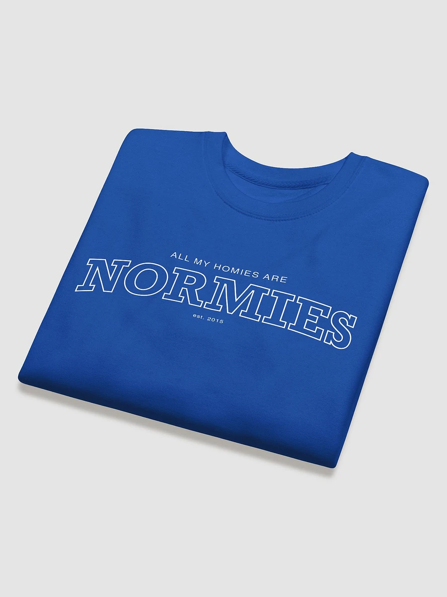 All of My Homies are Normies - Sweatshirt product image (4)