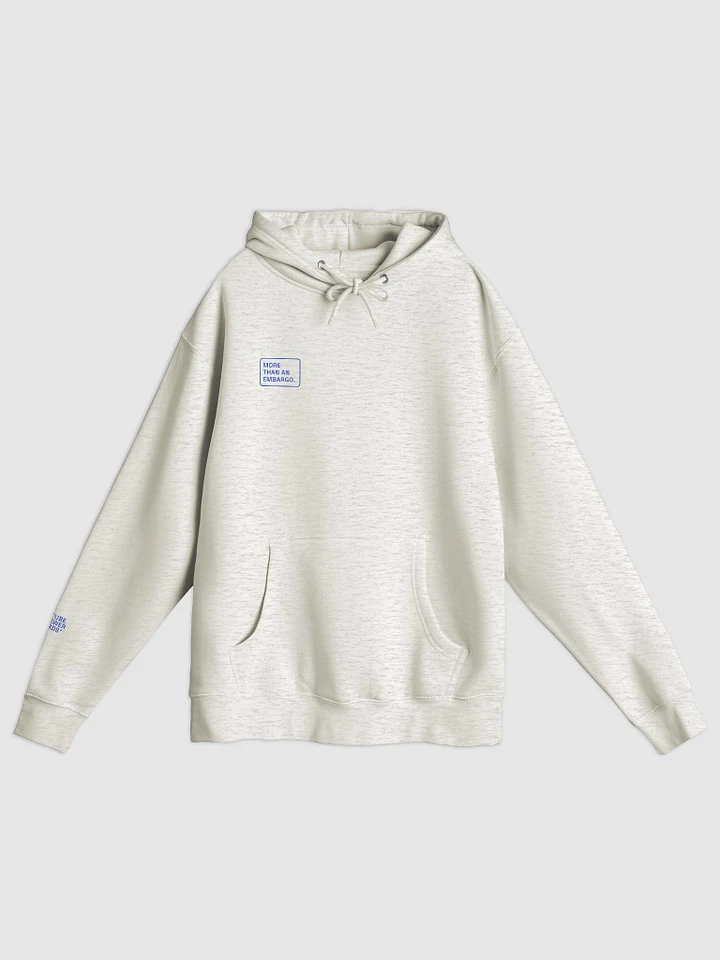 More Than an Embargo Hoodie product image (1)