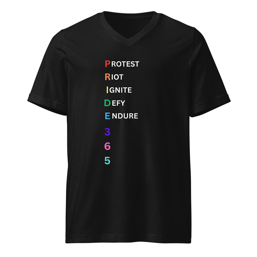 Pride 365 (protest, riot, ignite, endure) V-Neck Tee product image (1)