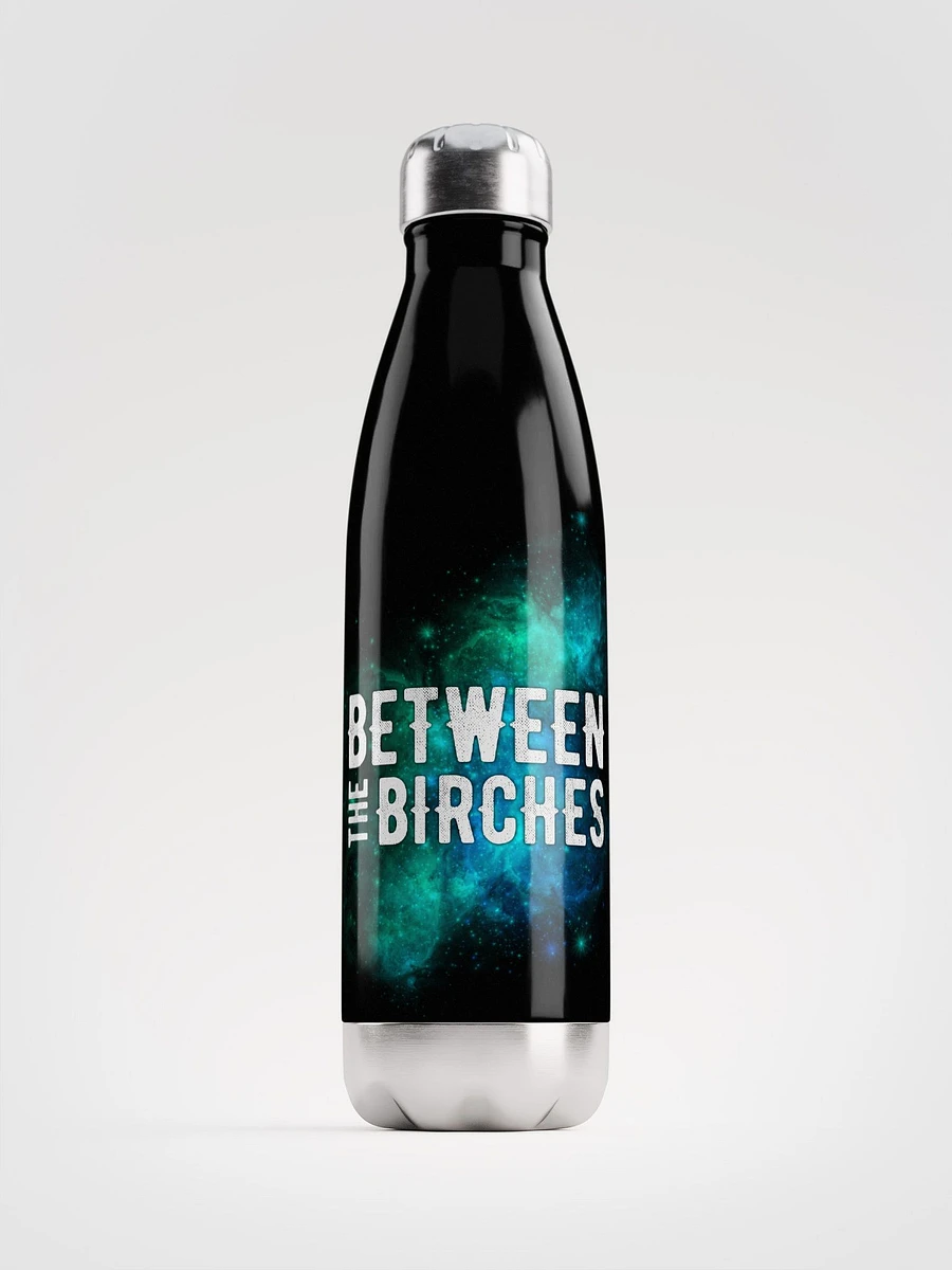 Between the Birches Trilogy Water Bottle // Stainless Steel V2 product image (1)