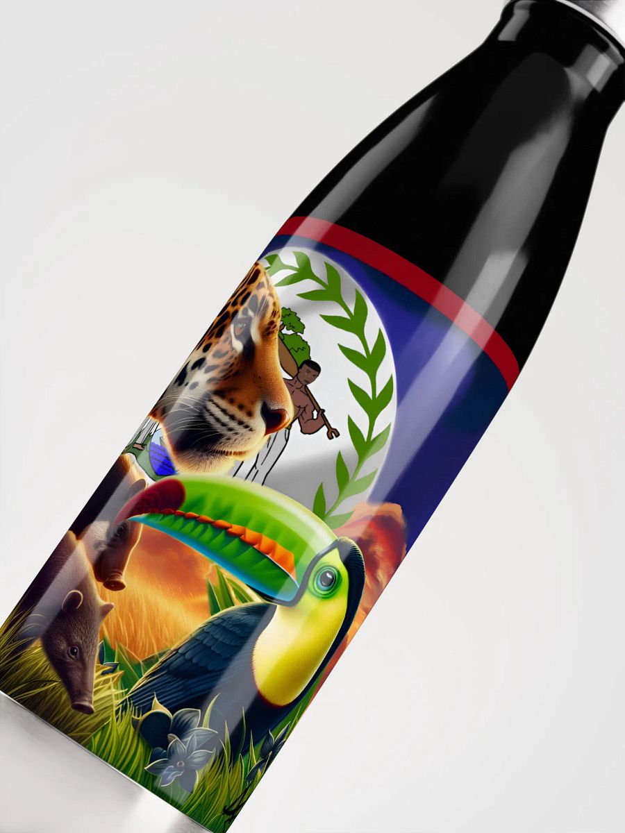 Beauty of Belize (Fun Edition) Water Bottle product image (5)