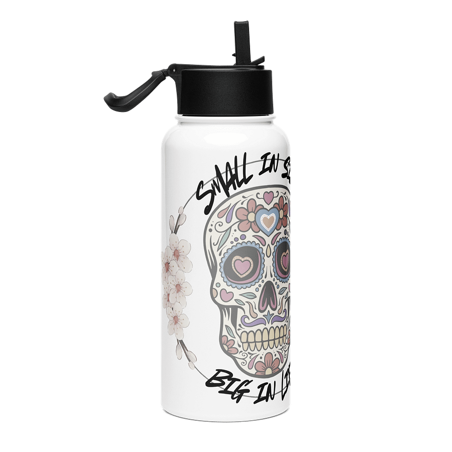 Stainless Steel Water Bottle with a Straw Lid product image (4)