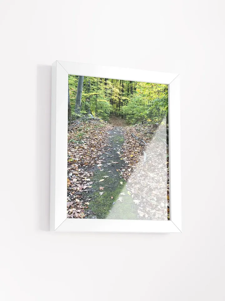 Trail in the Fall High Quality Matte Poster product image (2)
