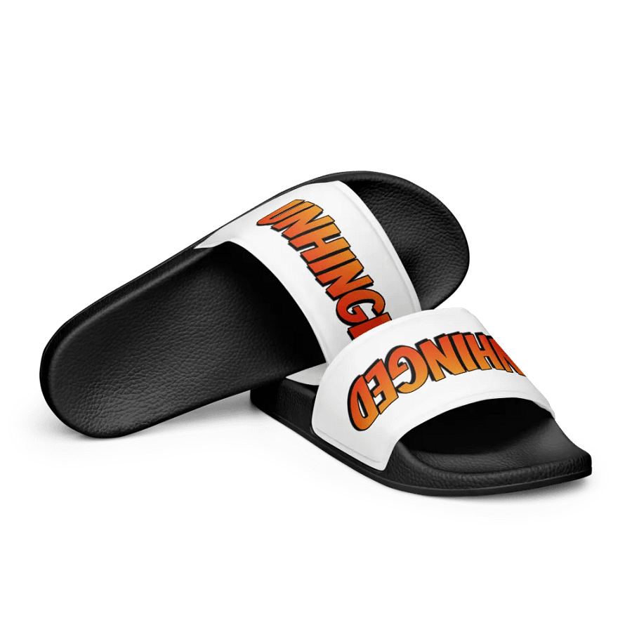 Unhinged slide product image (10)