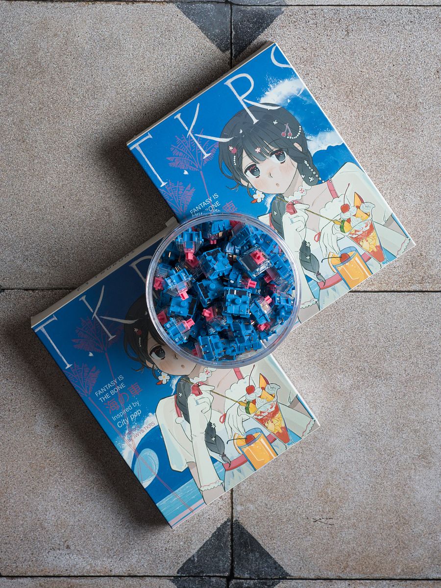 Batch 10 — Kaisya Switches product image (1)
