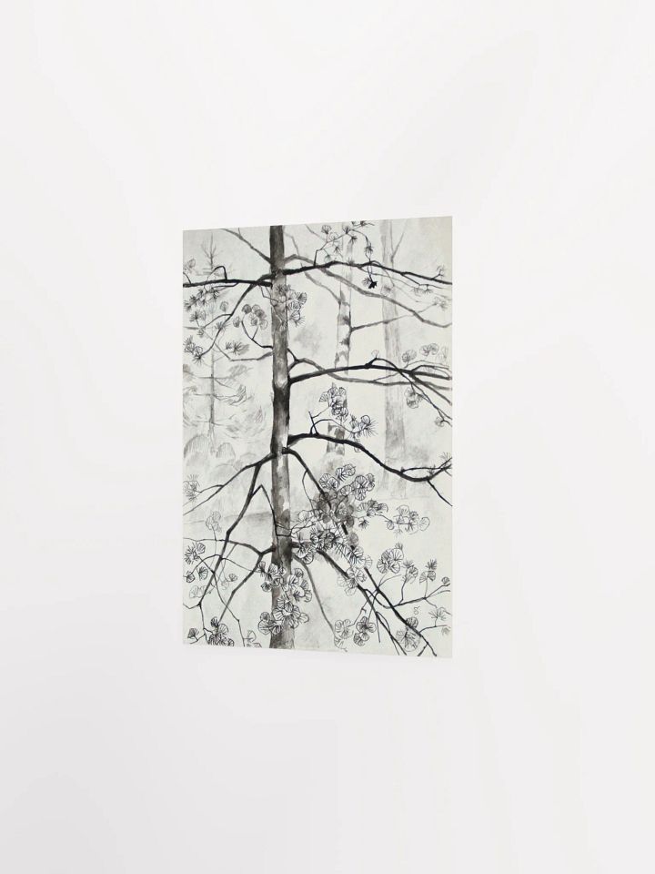 Young Pine Tree Sketch Poster - Young Pine Tree product image (2)