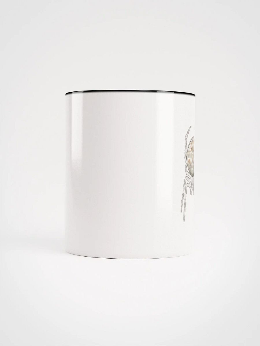 Large Grey Spider – Mug product image (24)