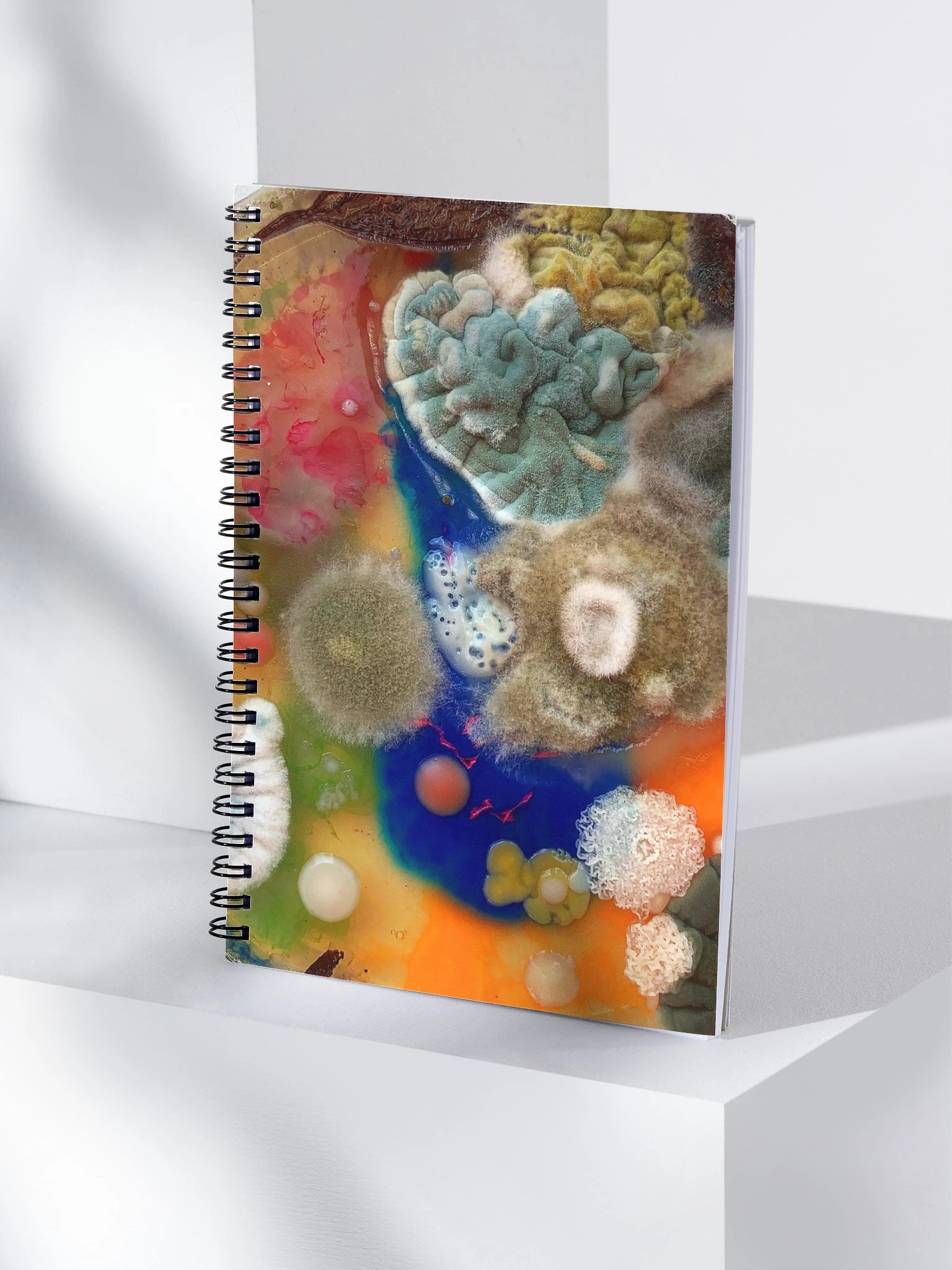 Orange and blue product image (4)