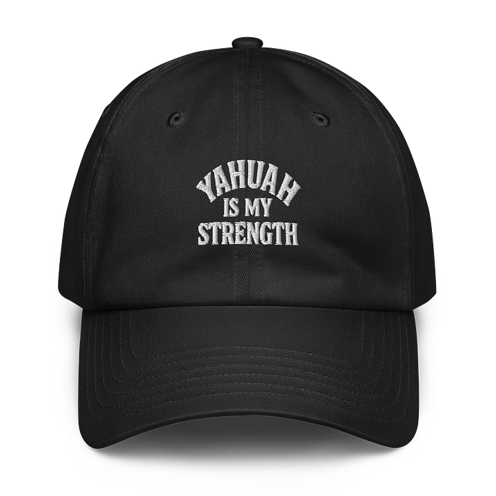 The Under Armour Dad Hat product image (1)