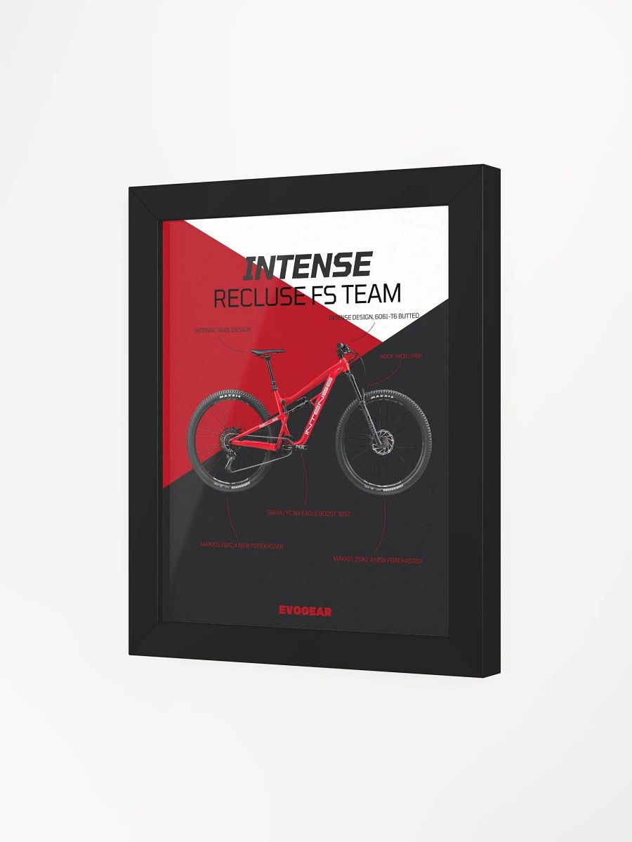 Intense Recluse FS Team Frame product image (13)