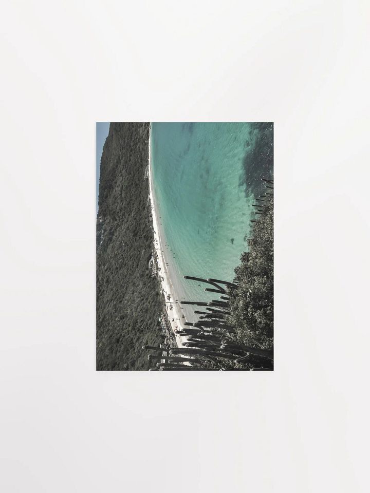 Cactus en Arraial do Cabo product image (2)
