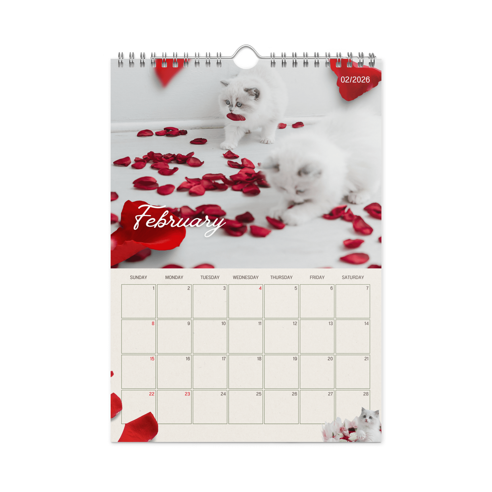 2026 Pearl's Ragdolls Calendar product image (3)