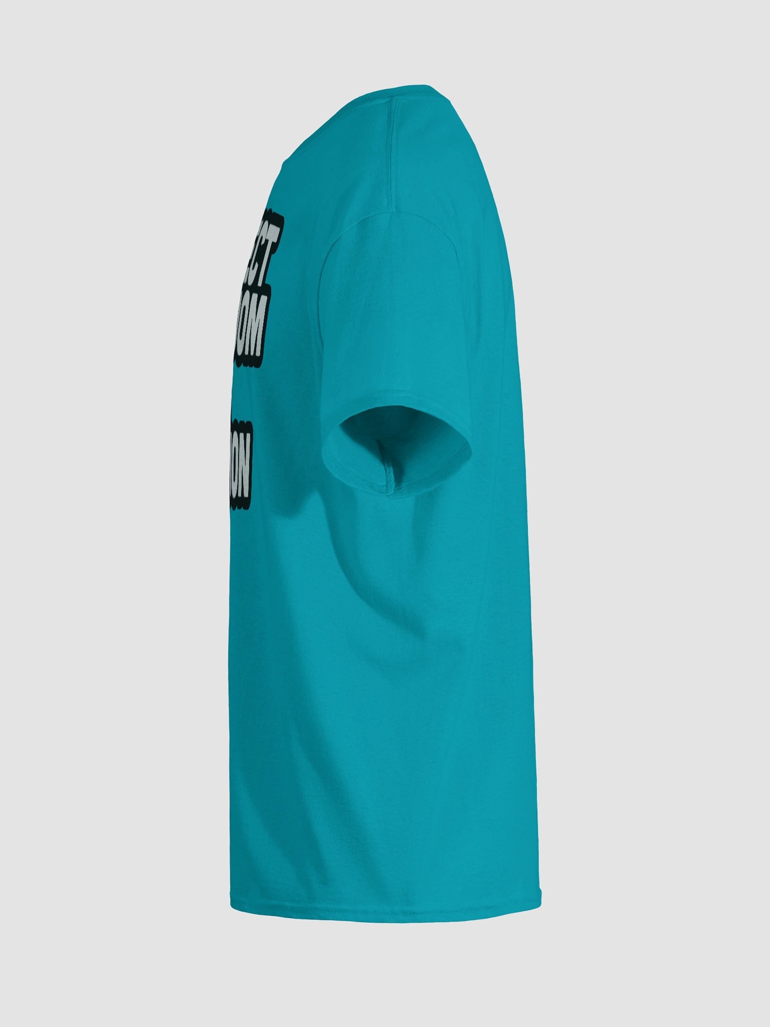 Protect Freedom From Religion - Shirt product image (11)