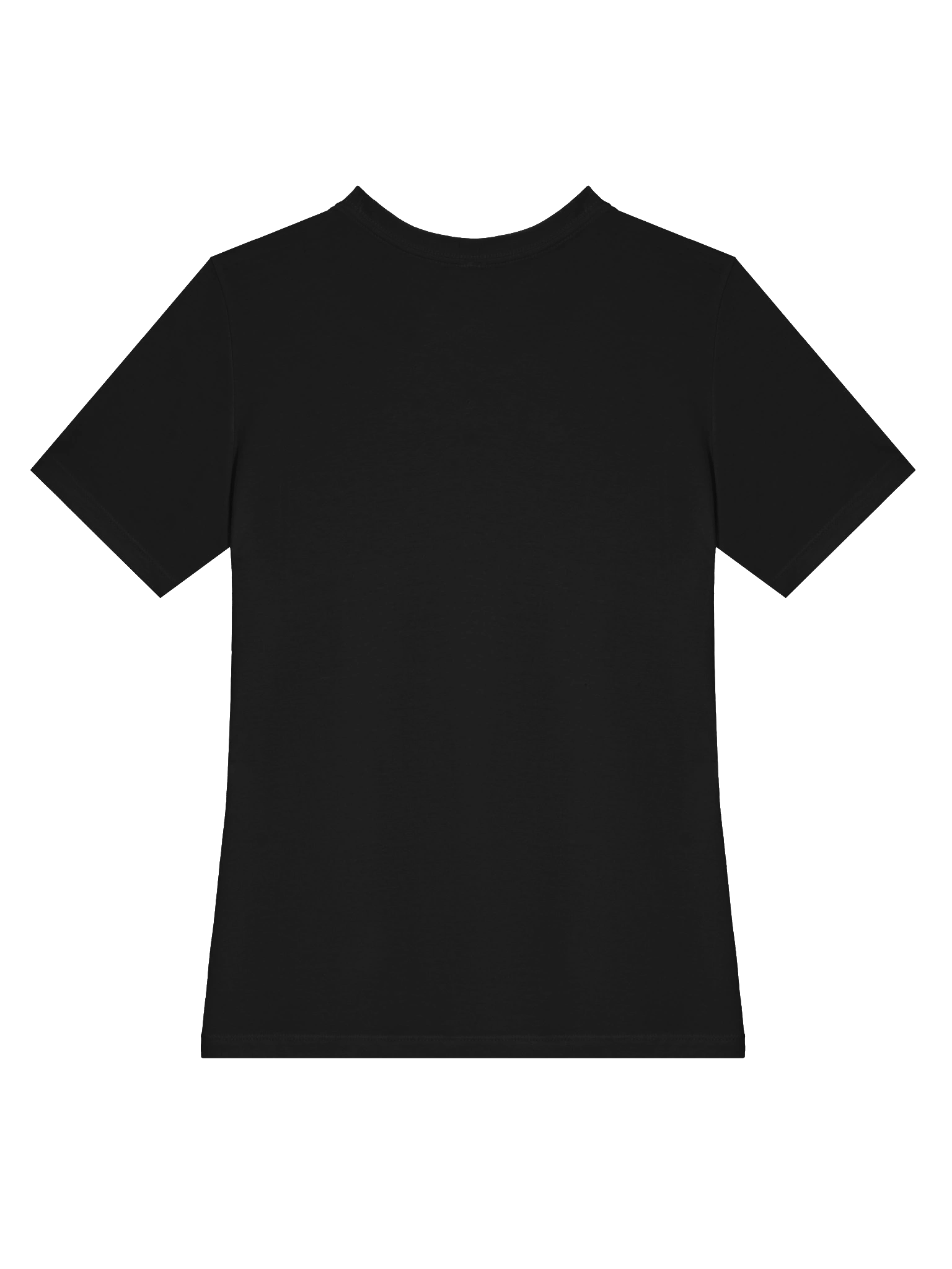 Turtle Lover's Relaxed Tee product image (37)