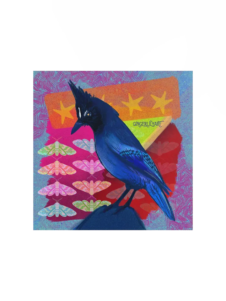 steller's jay print product image (2)