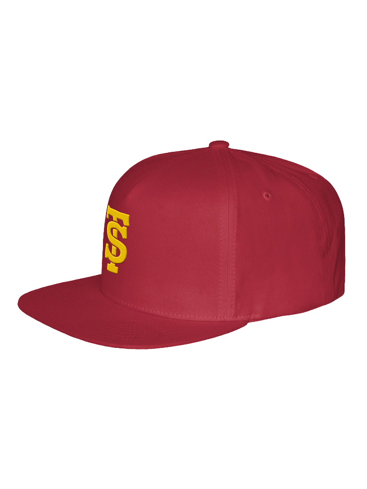TRASH SOCIETY TS HAT product image (2)