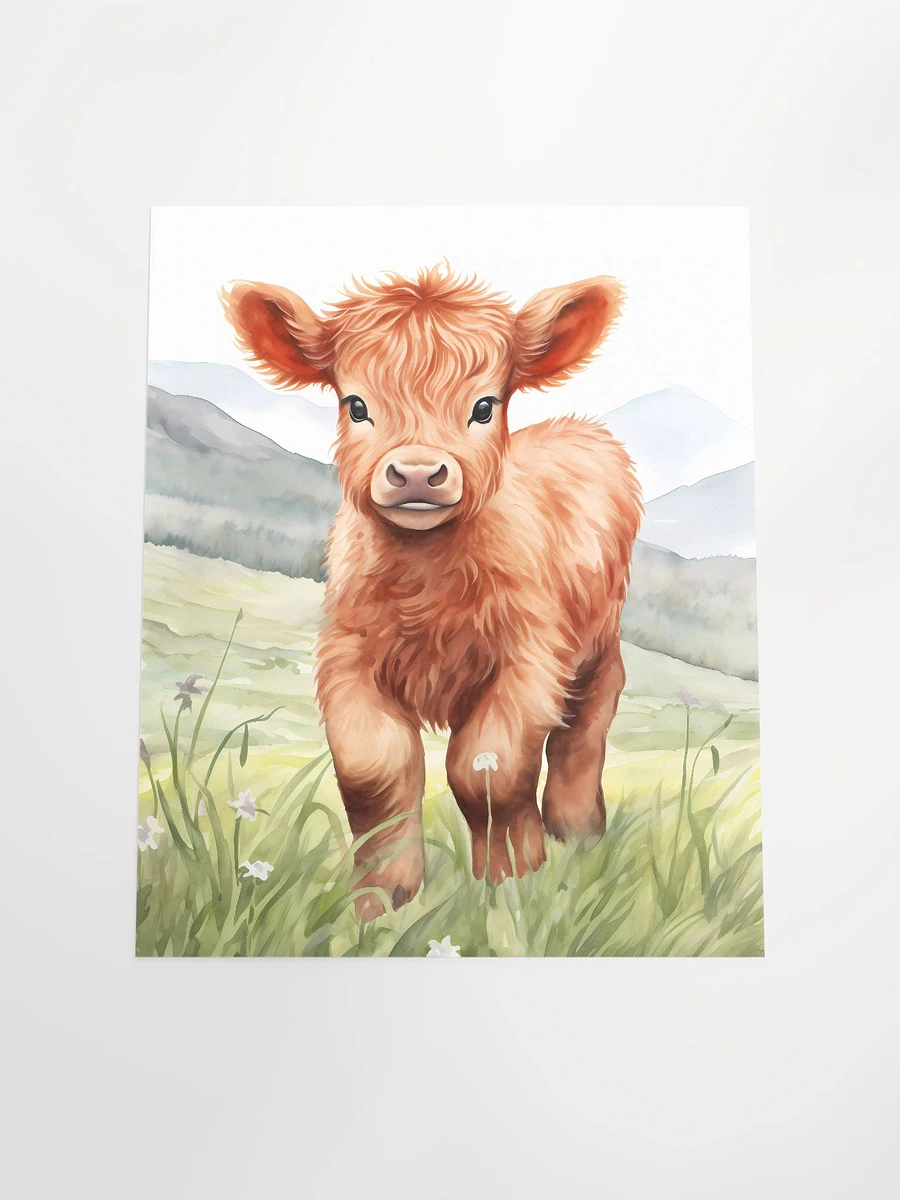 Highland Calf Poster product image (8)