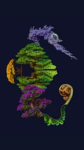 Bonsai Seahorse Wallpapers product image (1)