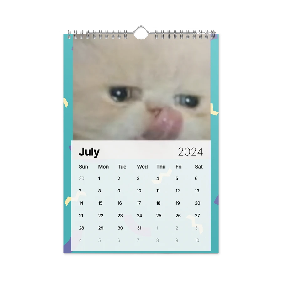 Wall Calendar (2024): Meme Cats product image (10)