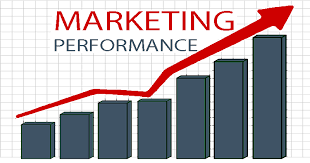 Measuring and Delivering Marketing Performance product image (1)