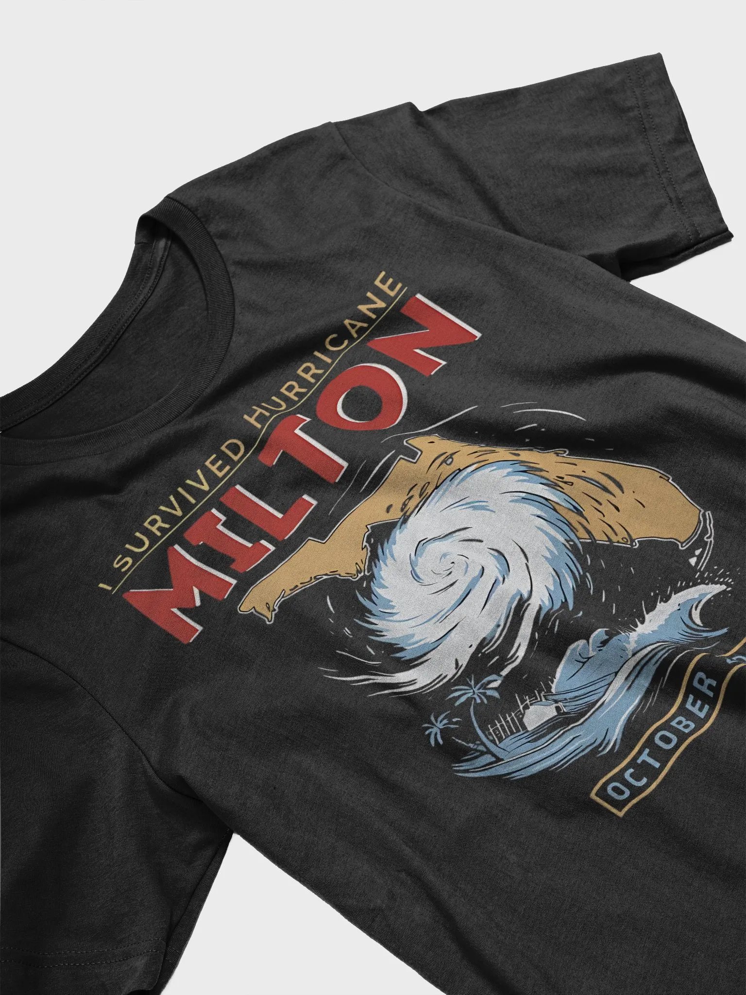 I Survived Hurricane Milton Shirt product image (8)