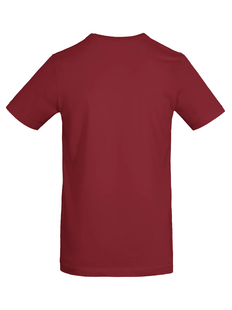 Asexual Queer as Folk big print tee product image (8)