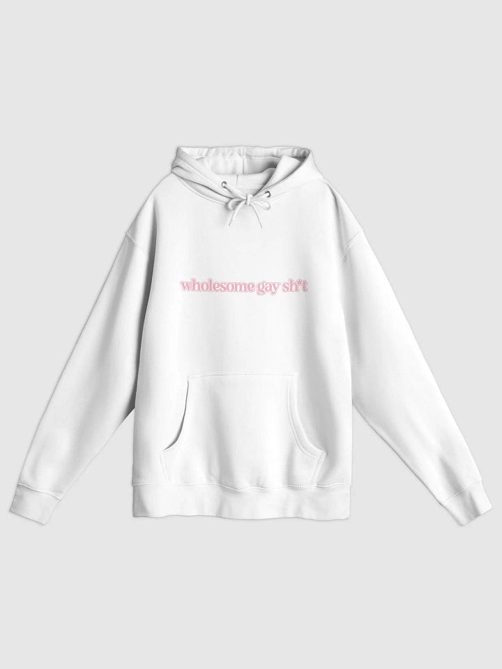 Wholesome Gay Hoodie product image (1)
