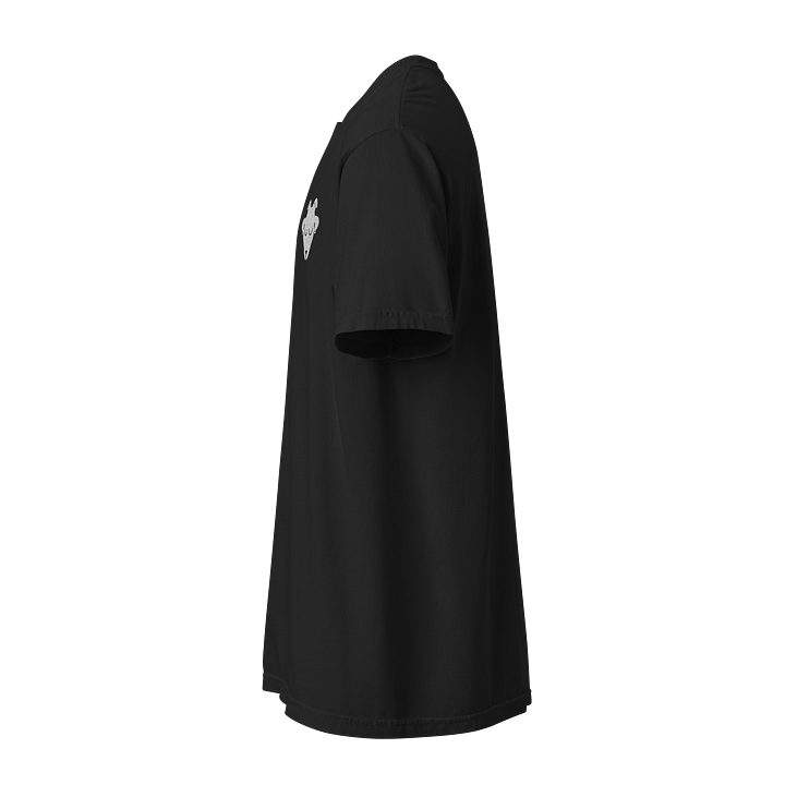 T-Shirt. product image (2)