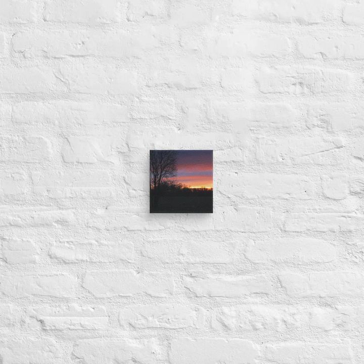 Beauty in the Dusk Canvas product image (2)
