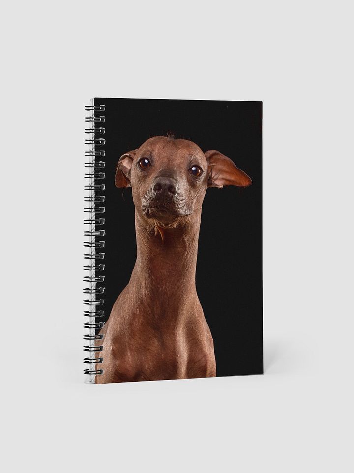 Akela the hairless wonder - Spiral Notebook product image (1)