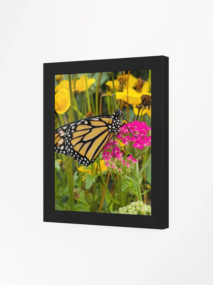 Tropical Monarch Butterfly Framed Matte Poster product image (1)