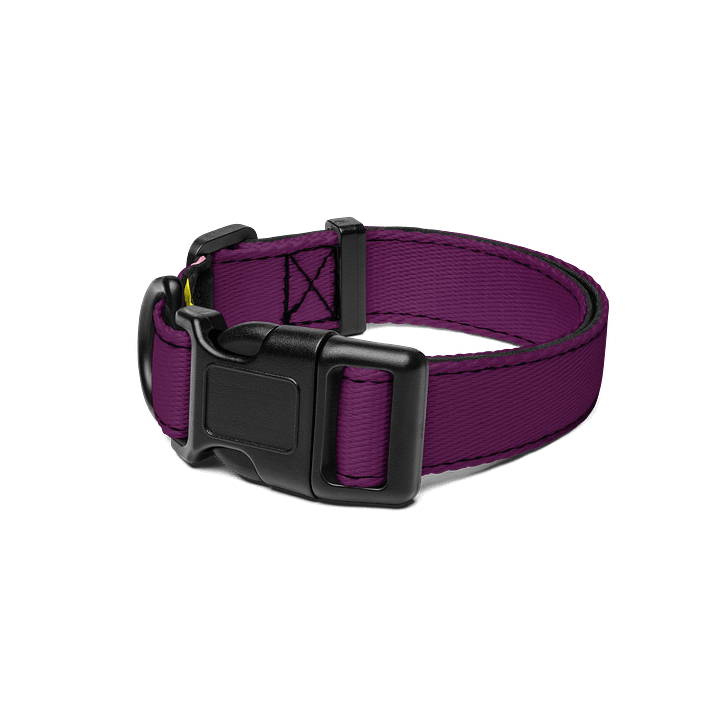 Cutie Collar product image (1)
