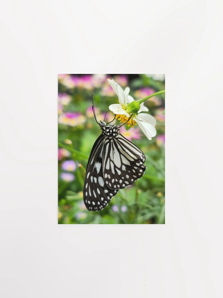 Tropical Paper Kite Butterfly Matte Poster #2 5x7" product image (1)