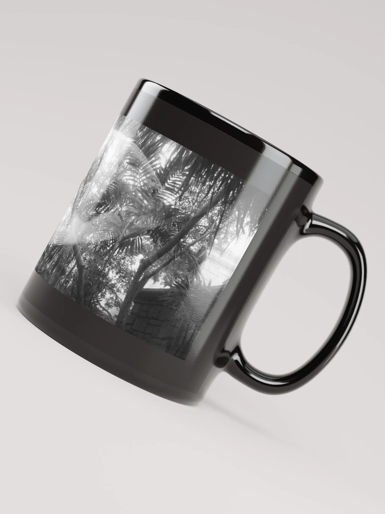 aquarium product image (4)