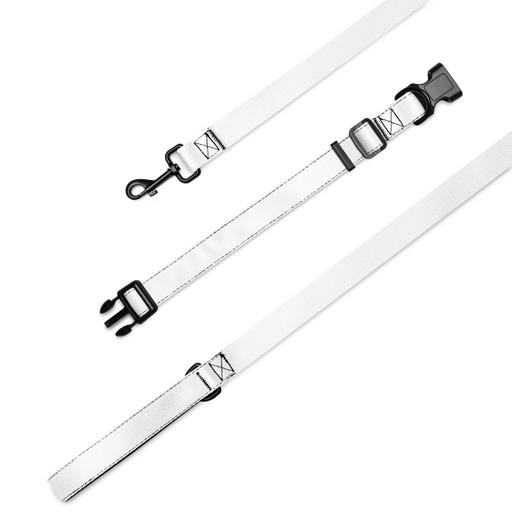 Lucky Dog White Pet Collar & Leash Set 04 product image (2)