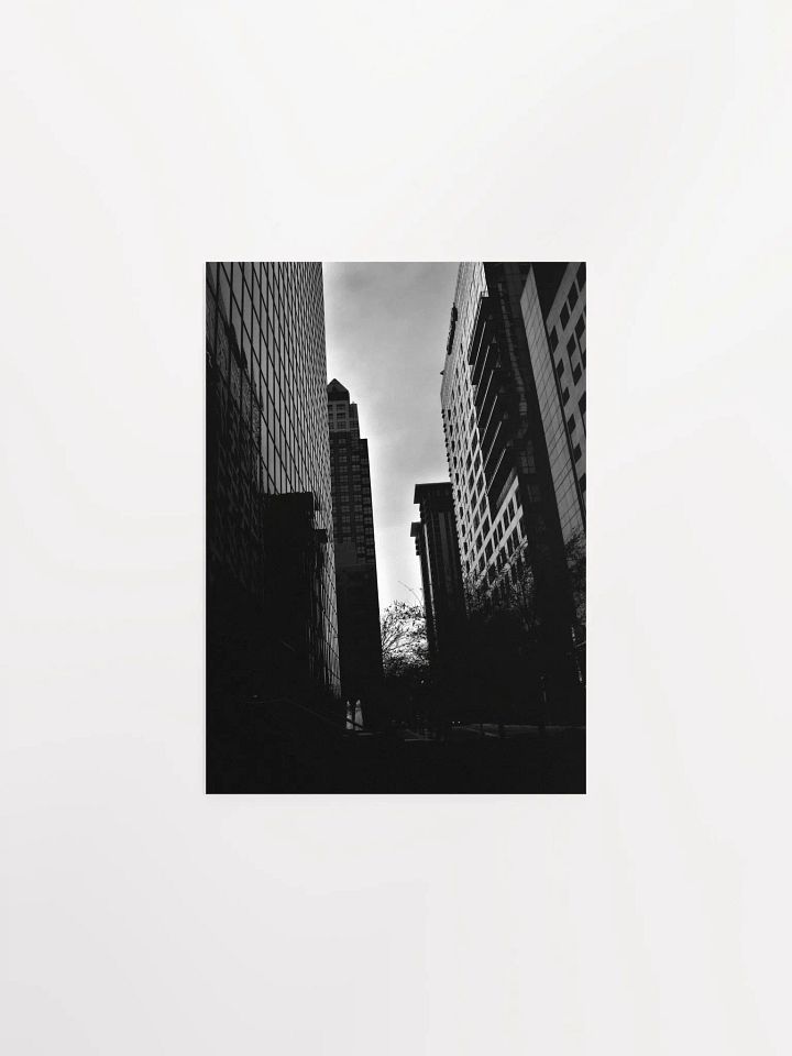 Downtown Orlando 3 product image (10)