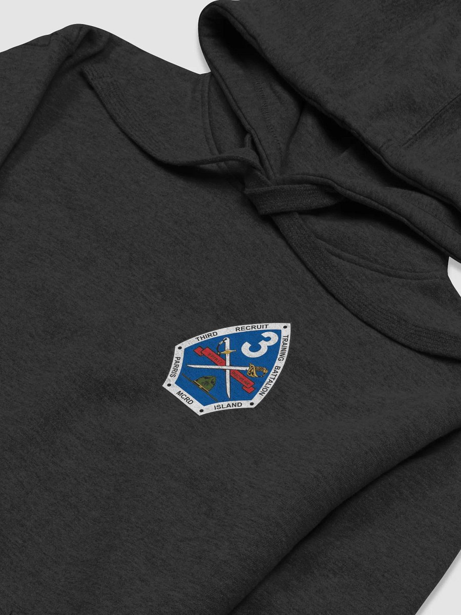 3rd Recruit Training Parris Island Dark Hooded Sweatshirt product image (3)