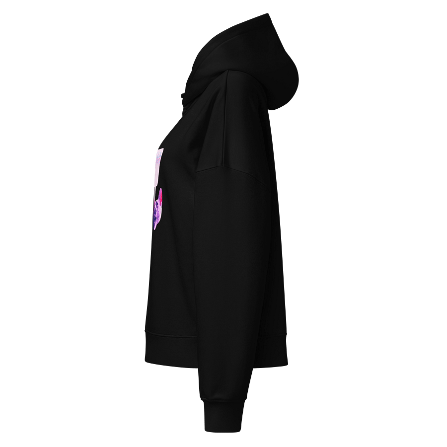 TROIB Hoodie in pink ink product image (9)