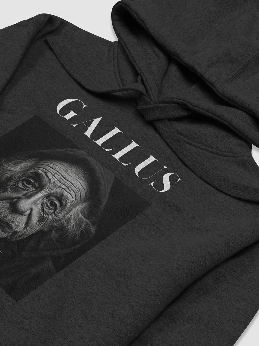 Gallus Hoodies product image (3)