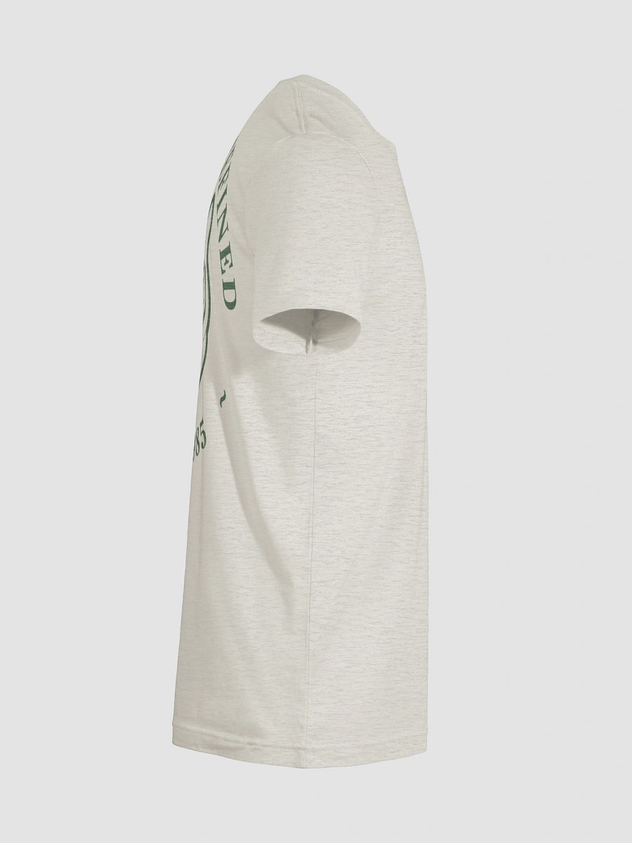 Fierce & Refined Back-Print Tee - Soft Earthy product image (12)