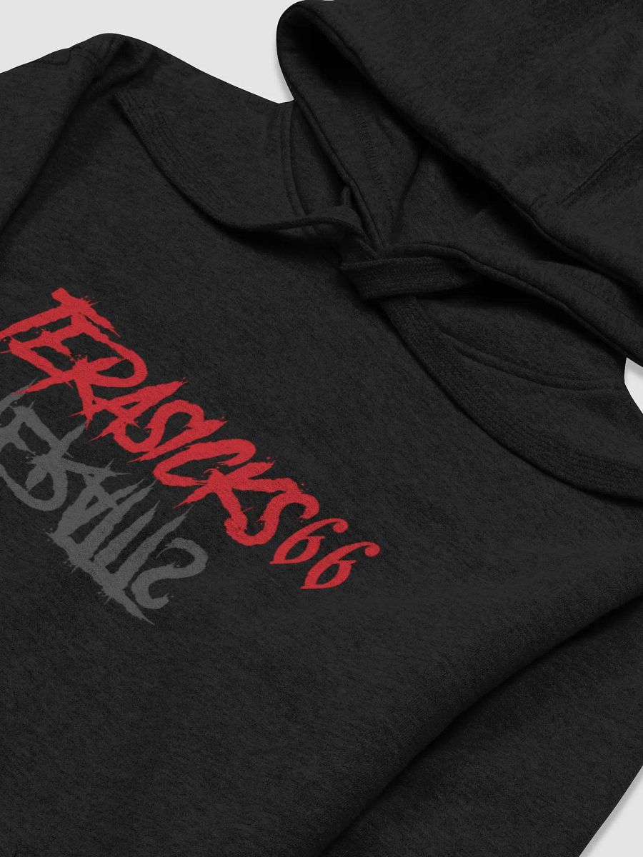 TeraSicks66 Hoodie product image (3)