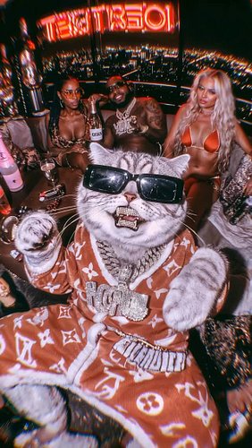 Wealthiest cat in the universe 

Song: Take My Money (Flip Version) by dB Smith @dbsmithmusic 

Og video: @jboogxcreative 

N...