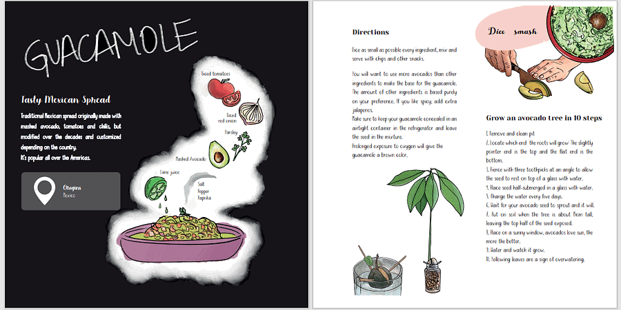 Latin-ish E-BOOK, An illustrated Latin American Cookbook product image (6)
