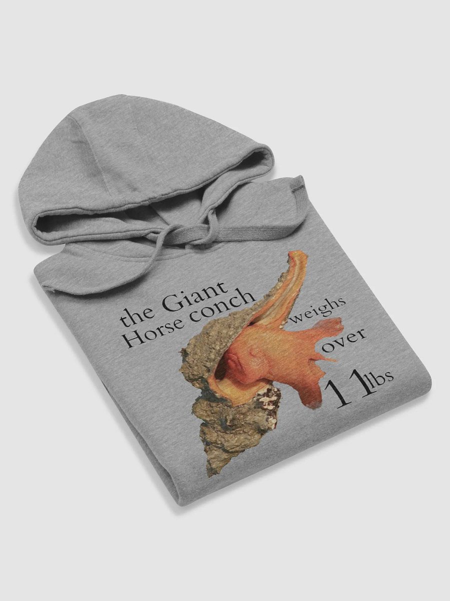 Horse Conch product image (39)