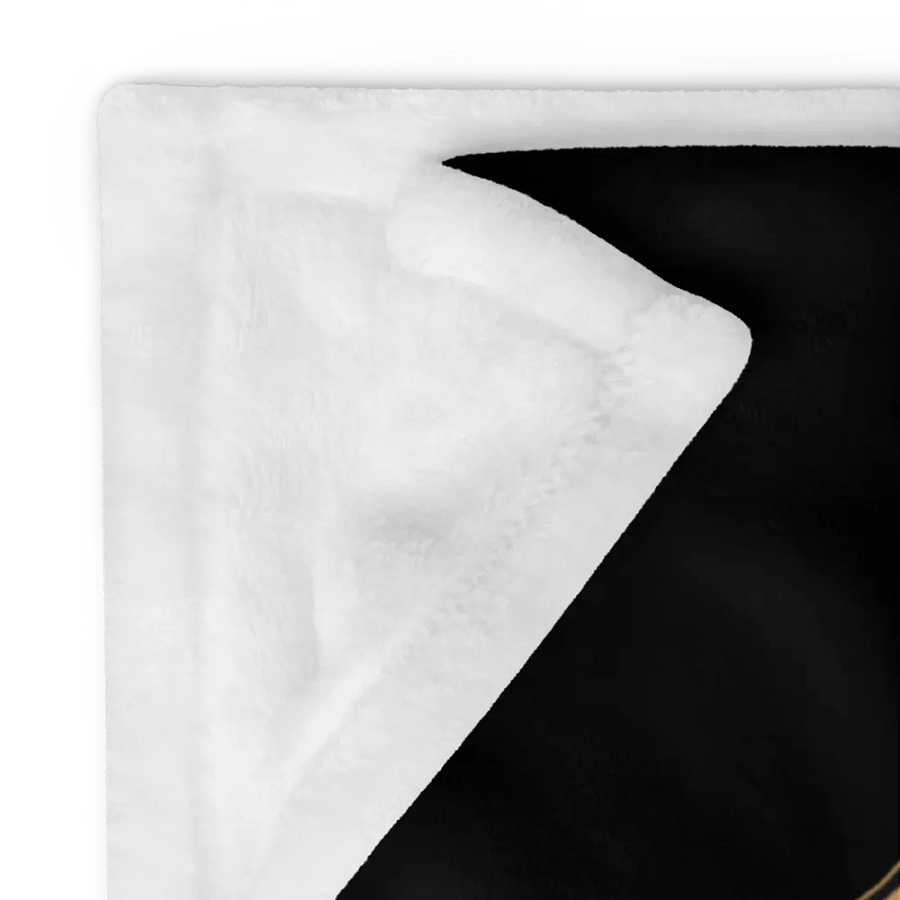 Real Kool Katz Plush Throw Blanket product image (15)