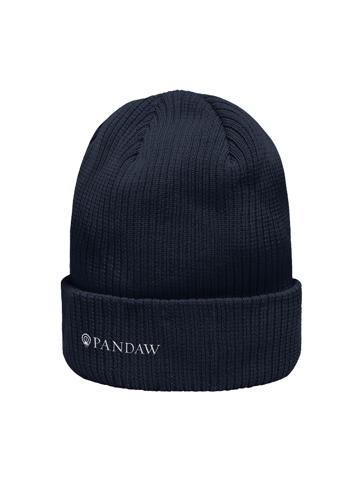 Beanie product image (2)